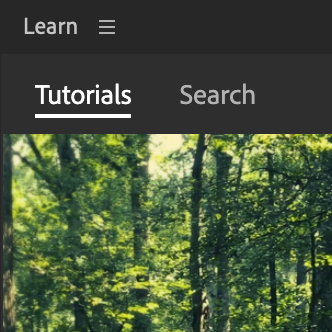 Learn Panel