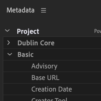 Metadata Panel